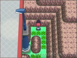 Pokémon Edición Platino
