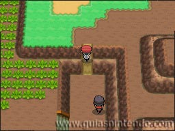 Pokémon Edición Platino
