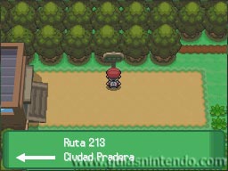 Pokémon Edición Platino