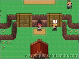Pokémon Edición Platino