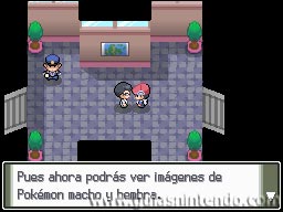 Pokémon Edición Platino