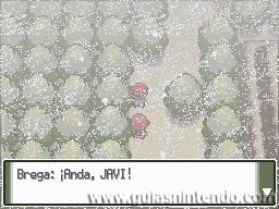 Pokémon Edición Platino