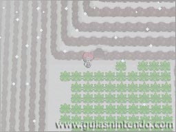Pokémon Edición Platino