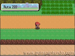 Pokémon Edición Platino