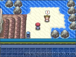 Pokémon Edición Platino