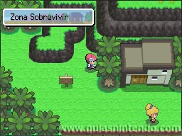 Pokémon Edición Platino