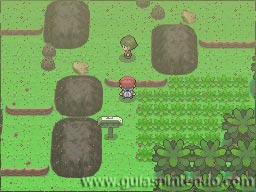 Pokémon Edición Platino