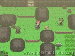 Pokémon Edición Platino