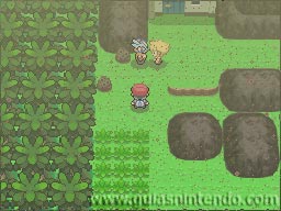 Pokémon Edición Platino