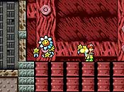 Yoshi&acute;s Island DS