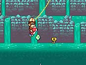 Yoshi&acute;s Island DS