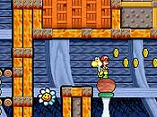 Yoshi&acute;s Island DS