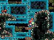 Yoshi&acute;s Island DS