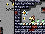 Yoshi&acute;s Island DS