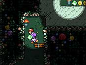 Yoshi&acute;s Island DS