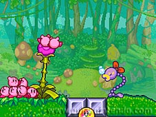 Kirby Mass Attack