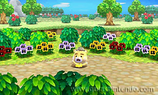 Animal Crossing: New Leaf