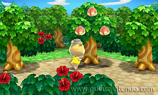 Animal Crossing: New Leaf