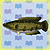 Animal Crossing: New Leaf