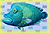 Animal Crossing: New Leaf
