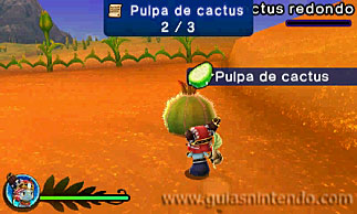 Ever Oasis