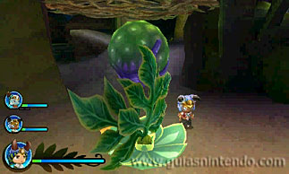 Ever Oasis
