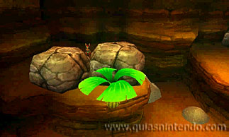 Ever Oasis