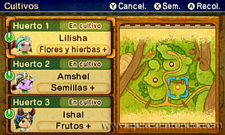 Ever Oasis