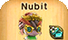 Ever Oasis