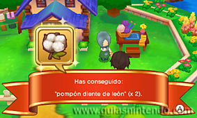 Fantasy Life