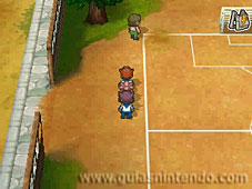 Inazuma Eleven 3: ¡La amenaza del Ogro!
