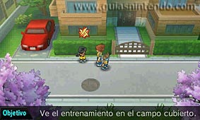 Inazuma Eleven Go