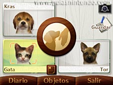 Nintendogs + Cats (3DS)