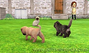 Nintendogs + Cats (3DS)