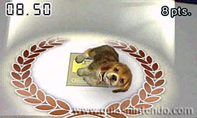 Nintendogs + Cats (3DS)