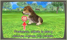 Nintendogs + Cats (3DS)