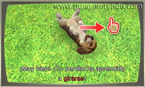 Nintendogs + Cats (3DS)