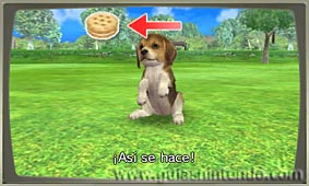 Nintendogs + Cats (3DS)