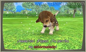 Nintendogs + Cats (3DS)
