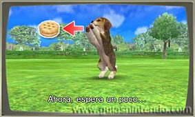 Nintendogs + Cats (3DS)