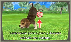 Nintendogs + Cats (3DS)