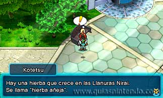 Puzzle & Dragons Z + Puzzle & Dragons Super Mario Bros. Edition