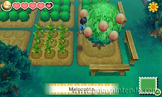 Story of Seasons