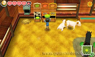 Story of Seasons