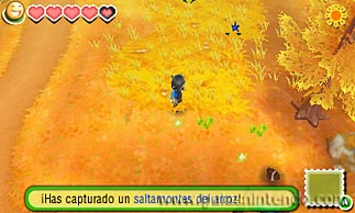 Story of Seasons