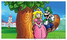 SUPER MARIO 3D LAND