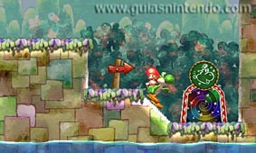 Yoshi's New Island