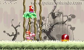 Yoshi's New Island