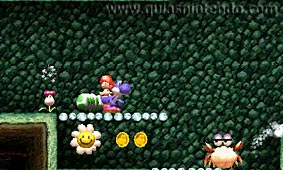 Yoshi's New Island