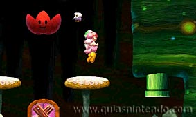Yoshi's New Island